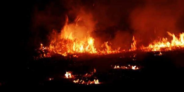 49tl1ulc_fire-generic_625x300_06_September_18