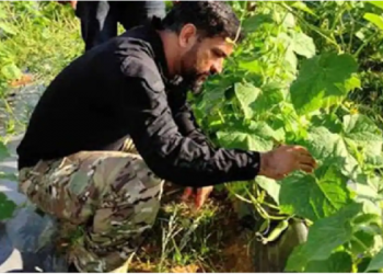 Dhoni in his Farm