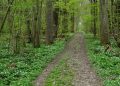 Forest-Department-750x375