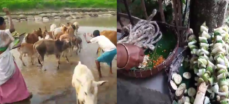 Garu Bihu
