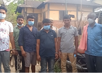 Thief arrested in Hajo