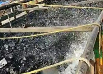 a coal