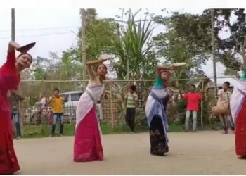 a myanmar