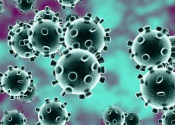 onavirus_1