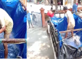 Fish of Madhav Mandir Hajo