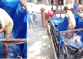 Fish of Madhav Mandir Hajo