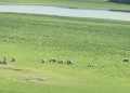 IMG-20210527-WA0024-750x375