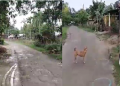 Teok village final