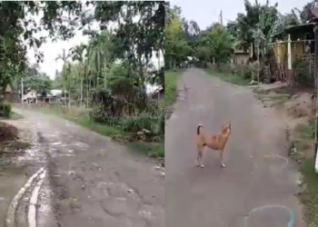 Teok village final