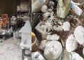 Tiny Industry Teok. final
