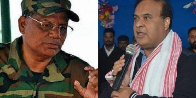himanta-4-696x392-1-696x375