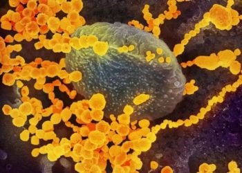 oronavirus-faq-2feat-1028x579