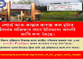 AJP on Paper mills