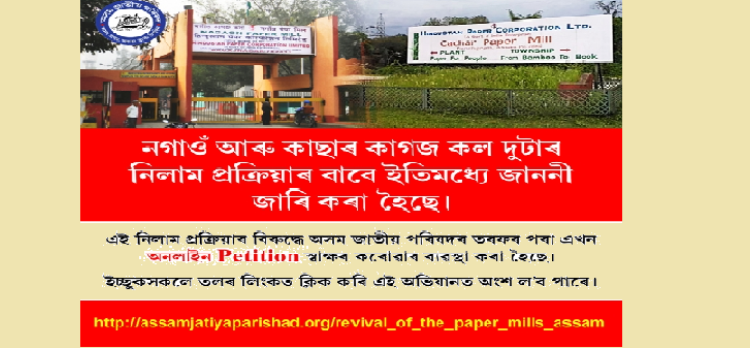 AJP on Paper mills