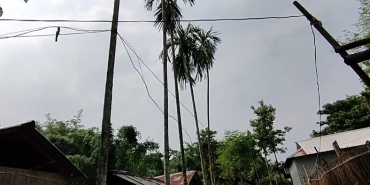 IMG_20210606_173126