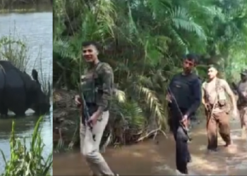 Kaziranga Rhino protection