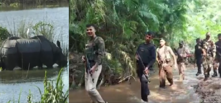 Kaziranga Rhino protection
