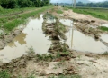 Road in Kaliabor