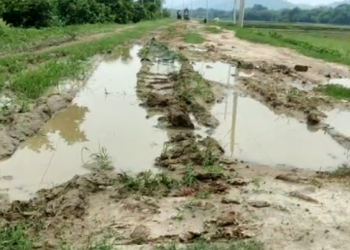 Road in Kaliabor