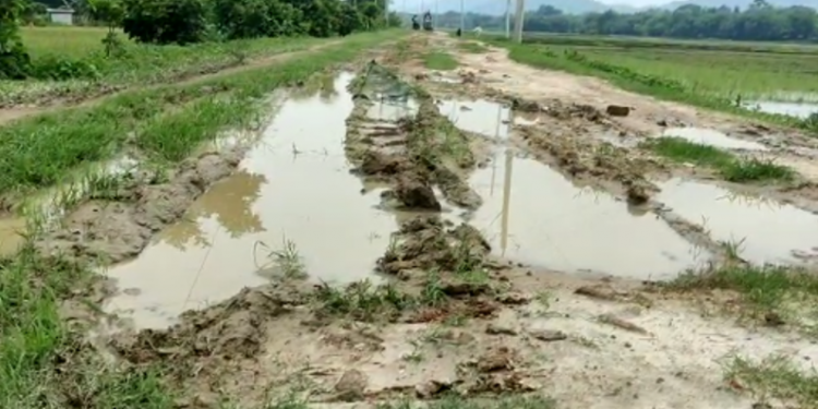 Road in Kaliabor