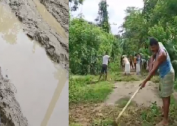 Road repairing by public
