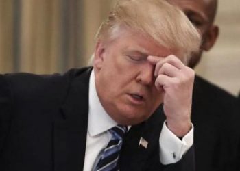 TRUMP-750x375
