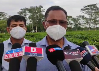 Tea cultivators.png 1