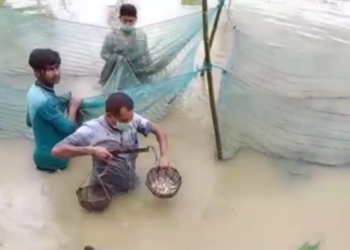 Teok man selfemployeed with fish cultivation