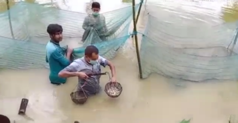 Teok man selfemployeed with fish cultivation