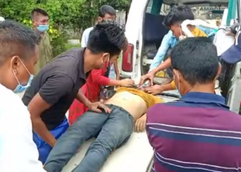 biswanath electrocuted