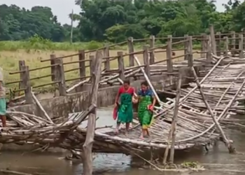 Bamboo bridge Tamulpur