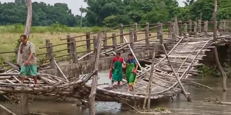 Bamboo bridge Tamulpur