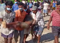 Bokakhat elephant killed