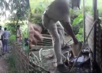 Excise officials operation in teok