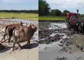 Farmers appeals