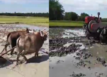 Farmers appeals