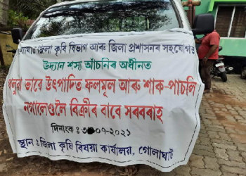 Golaghat vegetables