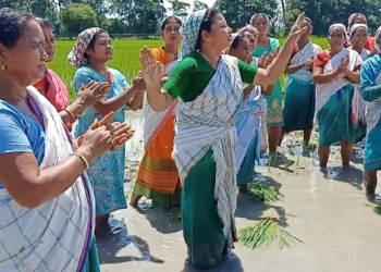 Jaobari cooperative