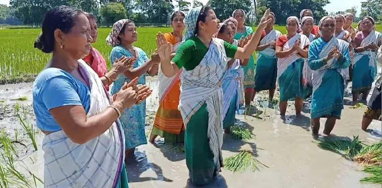 Jaobari cooperative