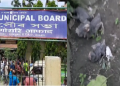 Tangla Municipal board in cattle egreat killing
