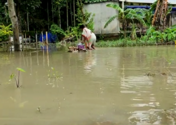 flood water affect