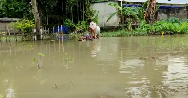 flood water affect
