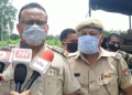 illegal timber seized