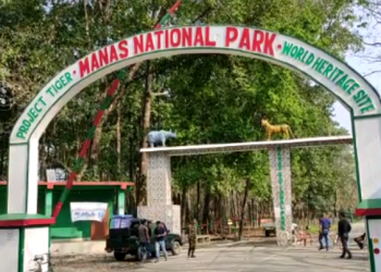 Manas National park