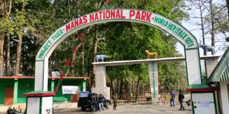 Manas National park