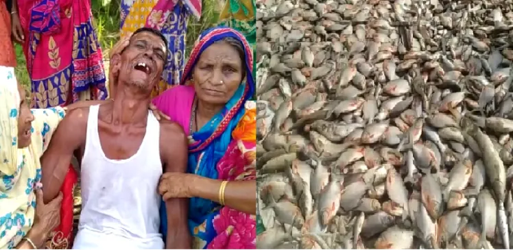poison pour in fishery at Hajo