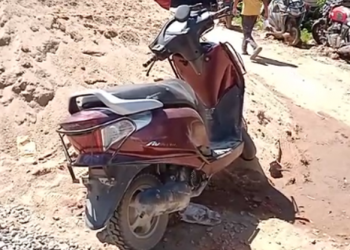 Cattle thief scooty