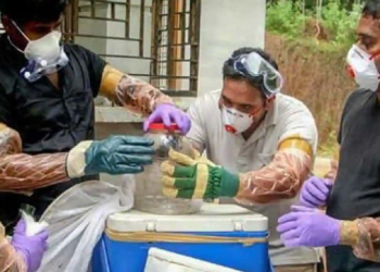 Nipah Virus found