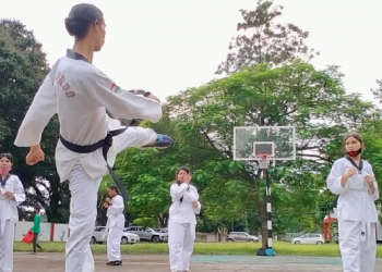 Taikoando Biswanath