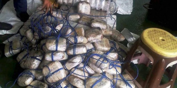 Drug Seize